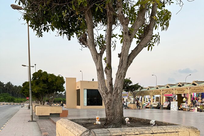 Historical Salalah City Tour - Passing Sultan Qaboos Palace: quick photo stop with a local birth connection