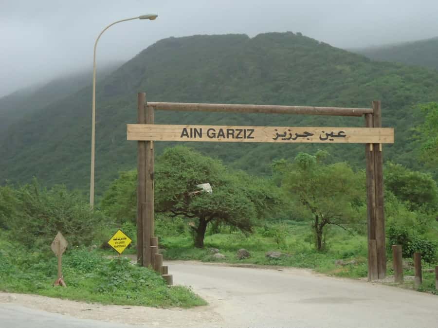 Historical Salalah City Tour with Culture, Food & Shopping - Why This 4-Hour Historical Salalah City Tour Works So Well