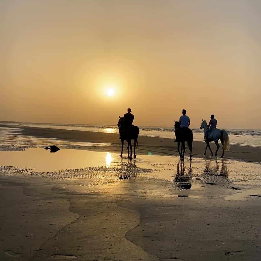 Horse riding in muscat beach - Key Highlights You Should Actually Care About