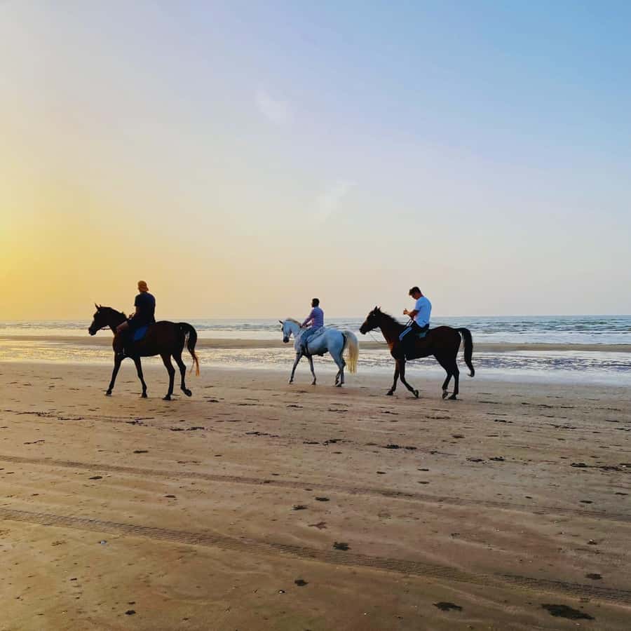 Horse riding in muscat beach - Getting There: Why the 10-Minute Airport Location Matters
