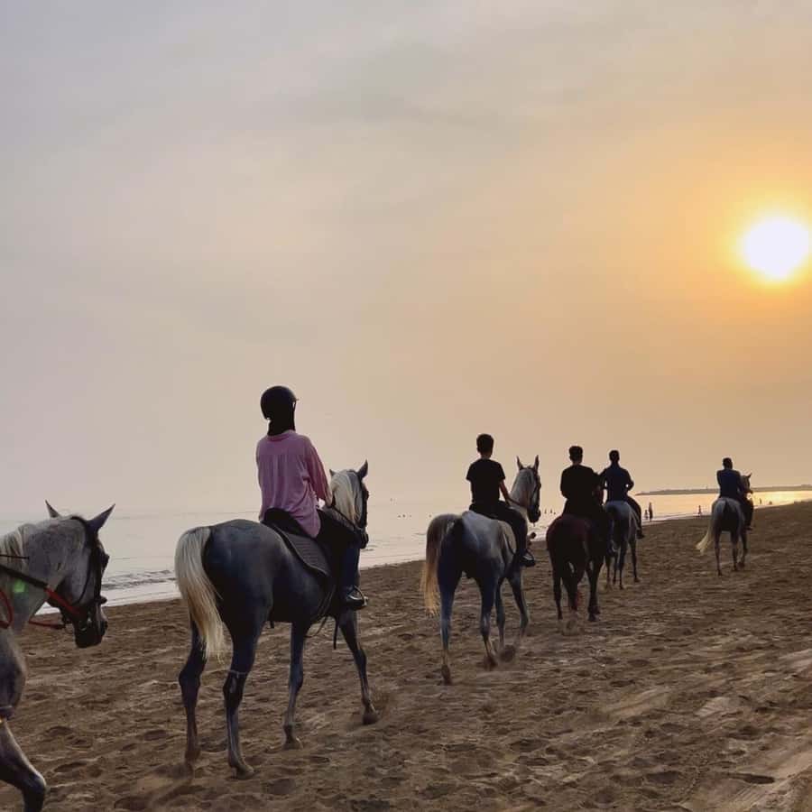 Horse riding in muscat beach - What a “Smooth” Beach Horse Ride Feels Like