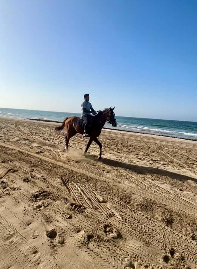 Horse riding in muscat beach - Sunset Timing: Why This Ride Can Look Better at Golden Hour