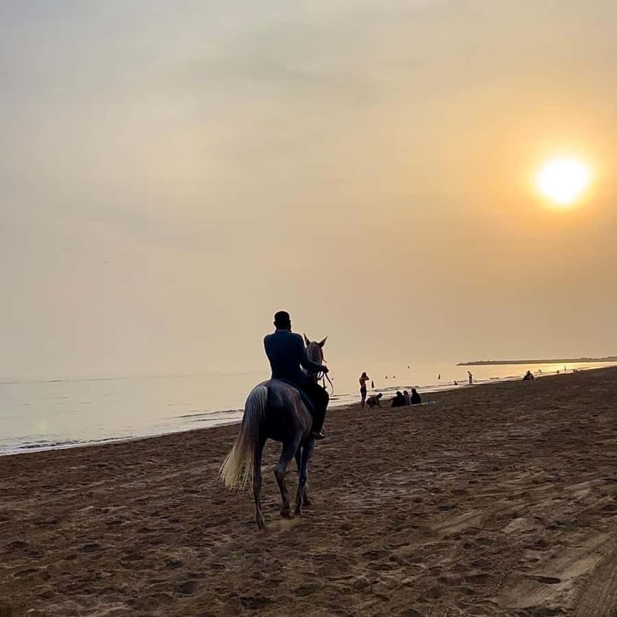 Horse riding in muscat beach - Safety Rules You Should Know Before You Book