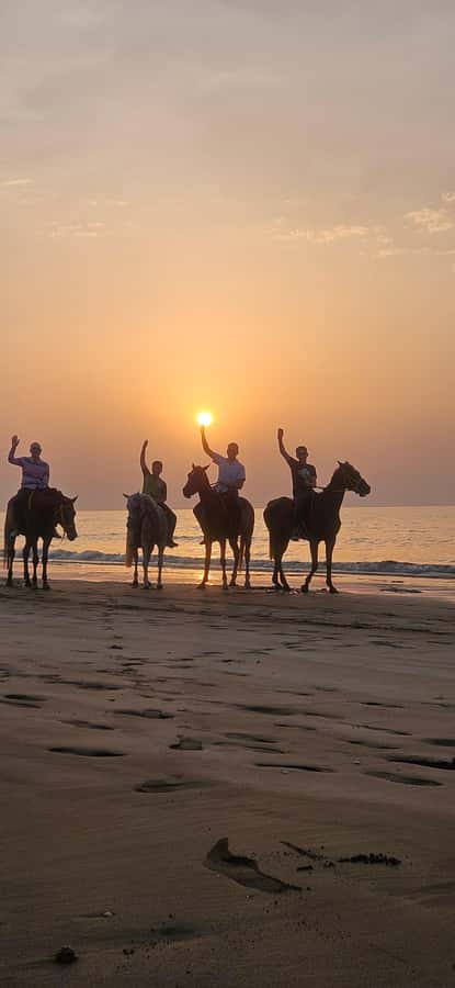 Horse Riding Muscat | Beach Horse Riding - Key details that make this beach ride work