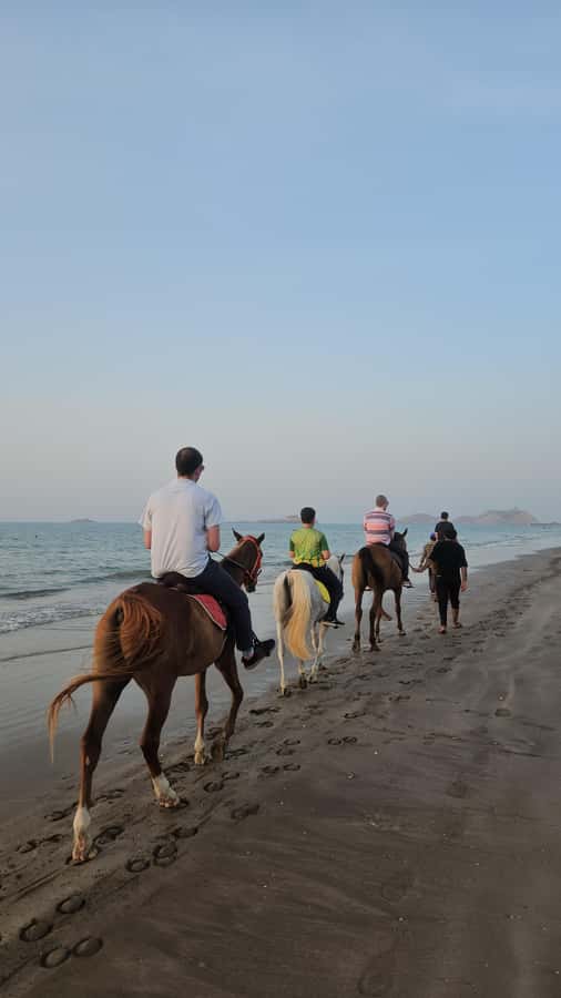 Horse Riding Muscat | Beach Horse Riding - Why Al Sawadi Beach makes this horse ride different