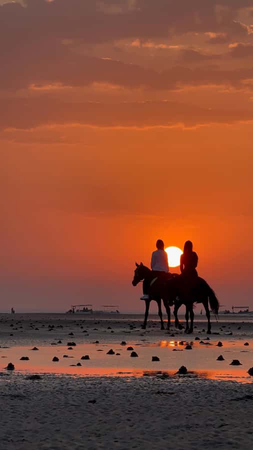 Horse Riding Muscat | Beach Horse Riding - Safety that feels practical, not performative