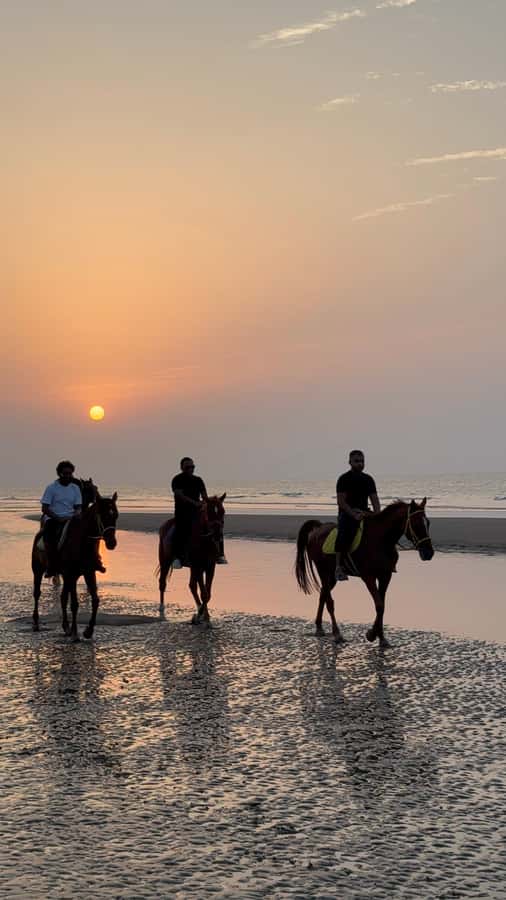 Horse Riding Muscat | Beach Horse Riding - Sunset rides: when the photos actually match the magic