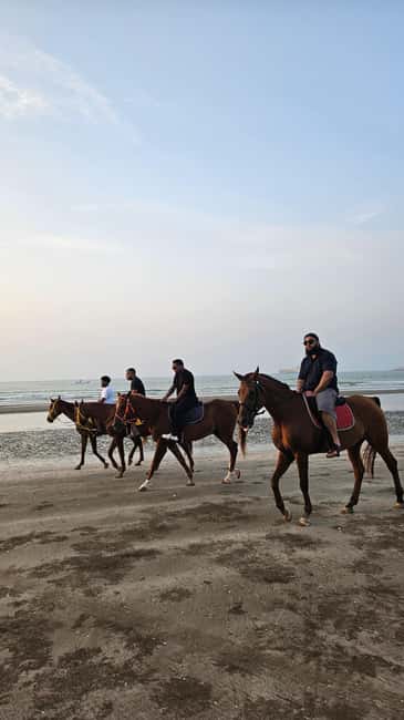 Horse Riding Muscat | Beach Horse Riding - Price and value: is $58 per person worth it?