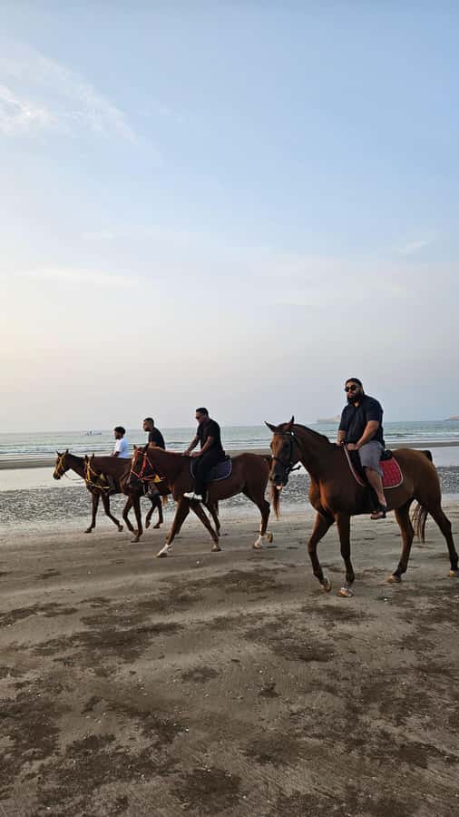 Horse Riding Muscat | Beach Horse Riding - Practicalities that keep your ride smooth