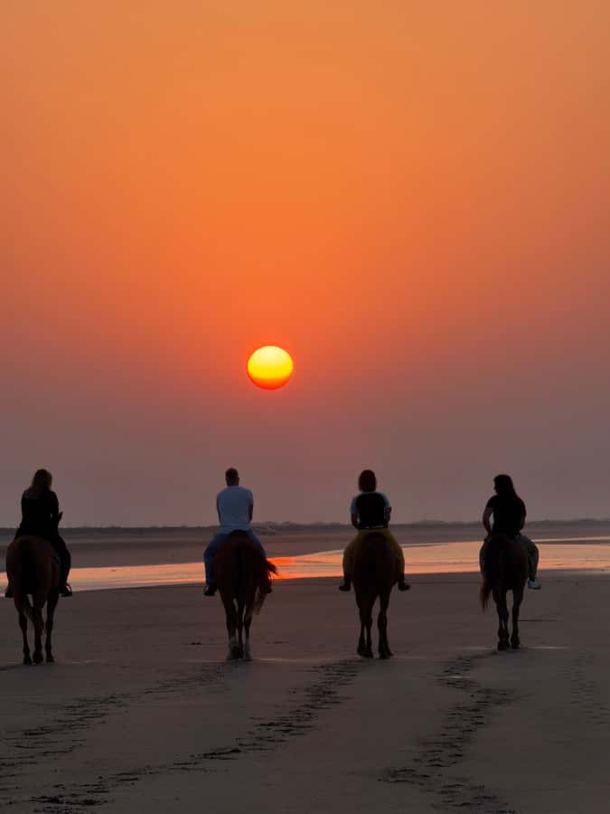 Horse Riding Muscat | Beach Horse Riding - Who should book this beach horse riding