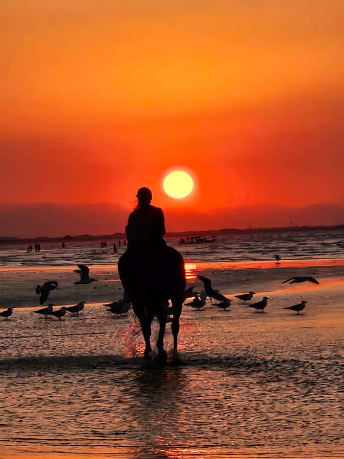 Horse Riding Oman - 2 hour ride - Key highlights worth marking on your map