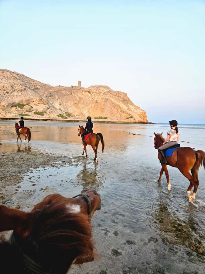 Horse Riding Oman - 2 hour ride - The Safety Brief and Horse Control Tips You Use Immediately
