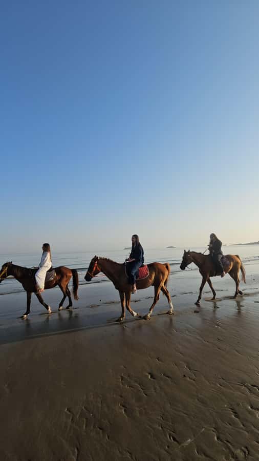 Horse Riding Oman - 2 hour ride - Sunrise vs Sunset: Pick Your Light, Then Match Your Comfort
