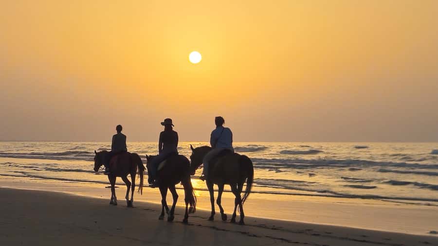 Horse Riding Oman - 2 hour ride - Gear and clothing: what to wear for wind, sand, and long two hours
