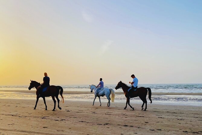 Horse Riding on the beach - Key things to know before you go