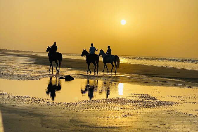 Horse Riding on the beach - Muscat sunset by horse: what makes this ride special
