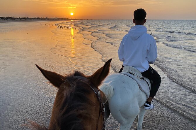 Horse Riding on the beach - Horses, saddles, and feeling safe on sand