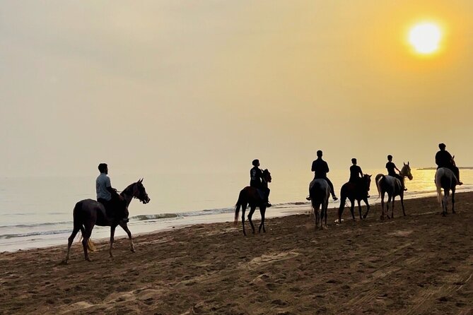 Horse Riding on the beach - Who this ride is best for