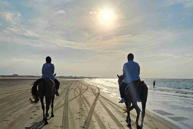 Horseback Riding Muscat Beach - Where you meet at Equestrain Suwadi in Barka, and why the location matters