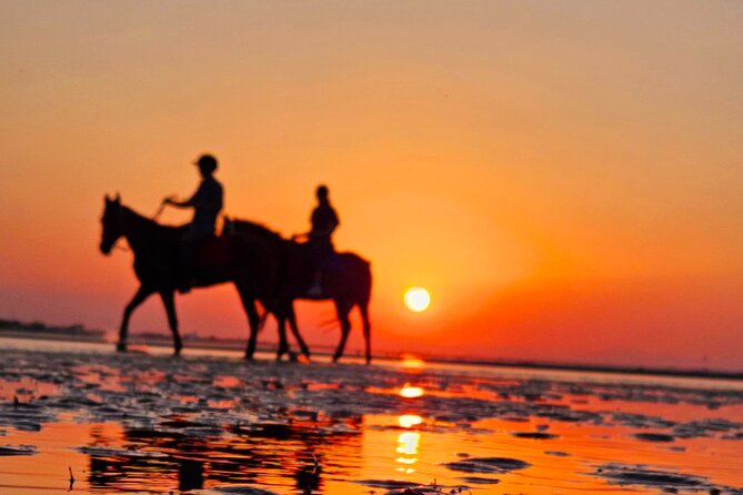 Horseback Riding Muscat Beach - The 1-hour beach ride: how the experience actually plays out