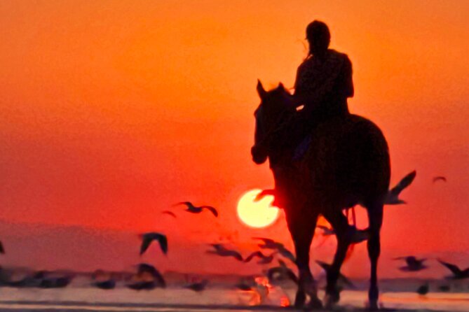 Horseback Riding Muscat Beach - Price and value in Muscat: is $76.66 per person worth it?