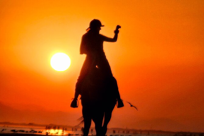 Horseback Riding Muscat Beach - Who this horseback riding experience fits best (and who should rethink it)
