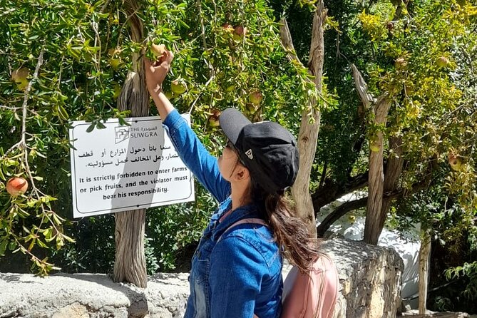 Jebel Akhdar Al Suwjara - Birkat Al Mouz Ruins - Private Full Day Tour - Key highlights you will not want to skip