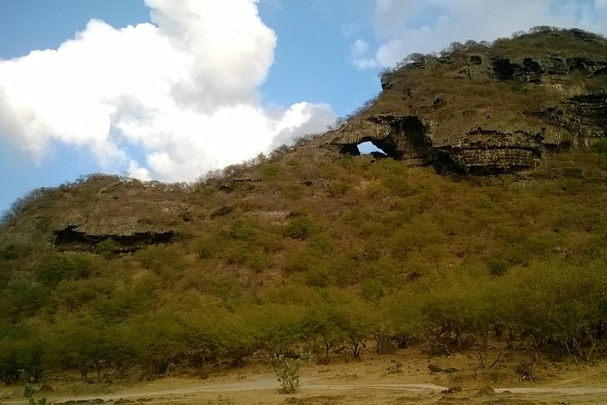 Jebel Safari - Tour della montagna - Taqa village: stepping into a governor’s ancient home