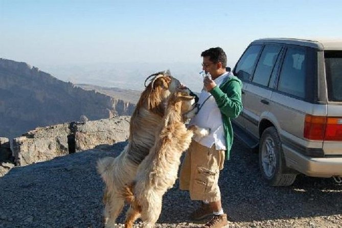 Jebel Shams Day Trip: The Grand Canyon of Oman - Why Jebel Shams feels like Oman’s Grand Canyon