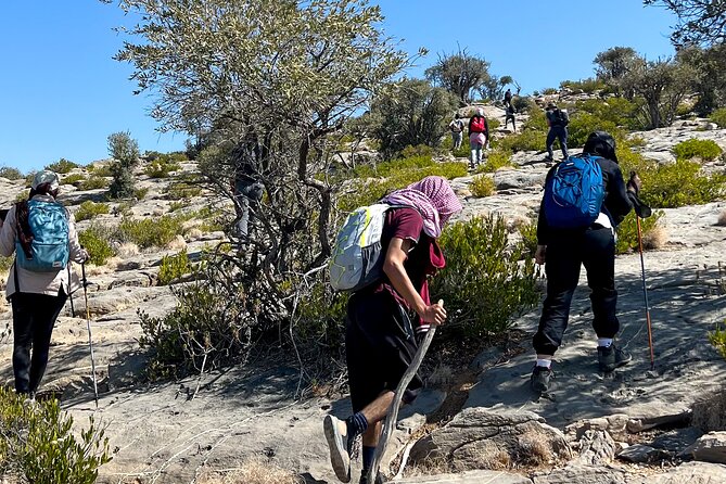 Jebel Shams summit W4 - Price and value: is $600 fair for what you get?