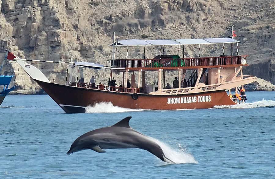 Khasab: Half-Day Dhow Cruise, Dolphin Watching, & Snorkeling - A traditional Omani dhow, comfort on deck, and onboard refreshments