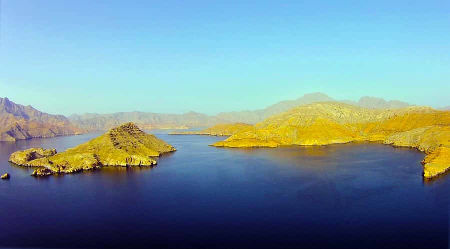 Khasab: Half-Day Dhow Cruise with Dolphin Watching - Price and value: what $37 gets you in real terms