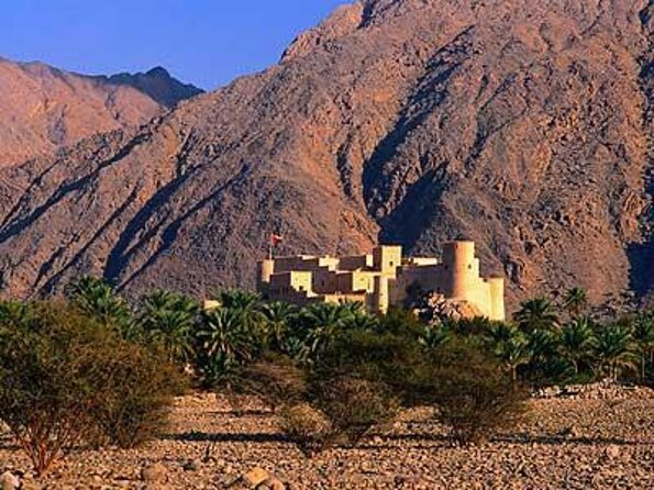 Khasab Musandam Full day dhow cruise - Key points to know before you book