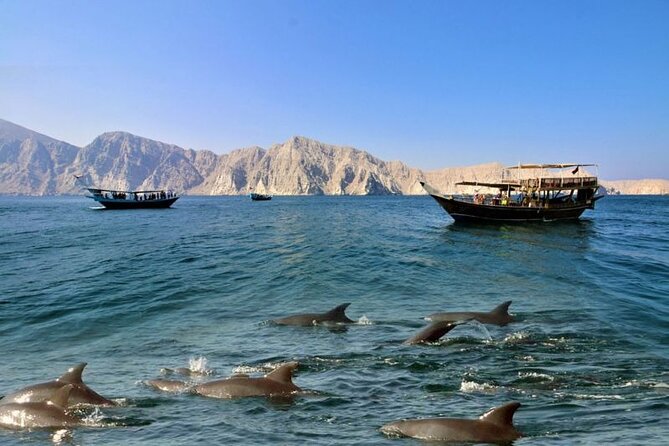 Khasab Musandam Full Day dhow cruise with lunch and Snorkeling - Why this Khasab dhow cruise works so well for a full day
