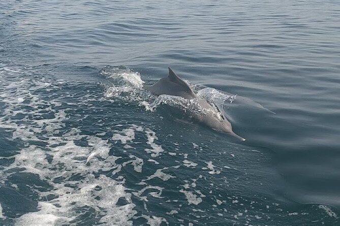 Khasab Musandam Full Day dhow cruise with lunch and Snorkeling - Snorkeling equipment included, and what that changes for your trip