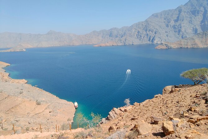 Khasab Musandam Half Day Dhow Cruise - The Dolphin-Spotting Game: How to Improve Your Odds