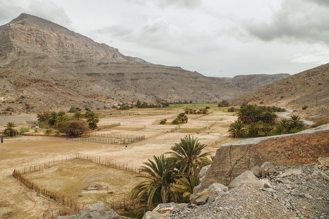 Khasab Musandam Mountain Safari - Where Musandam’s mountain roads set the tone fast