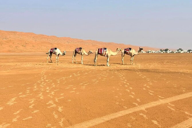 Luxury Sunset Desert Safari - Rub Al Khali dunes and dune bashing: the main event before sunset