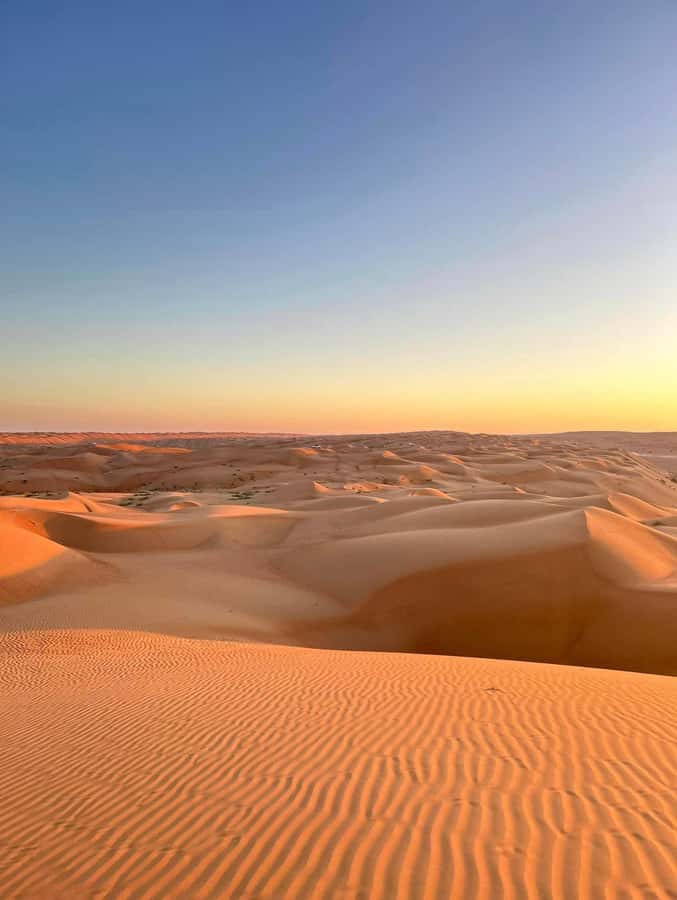Luxury Sunset Desert Safari at Salalah Empty Quarter - Wadi Dokha and frankincense trees: more than a quick photo stop