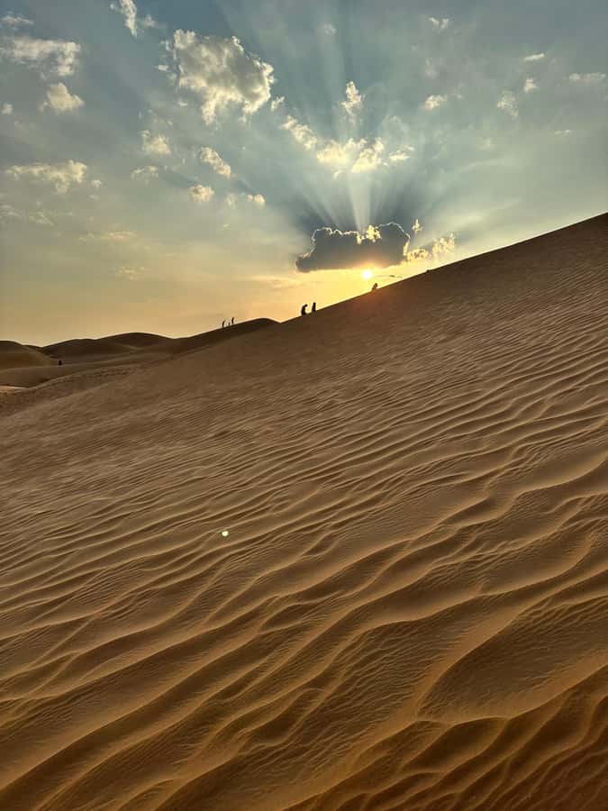 Luxury Sunset Desert Safari at Salalah Empty Quarter - Black camels and the camel station stop