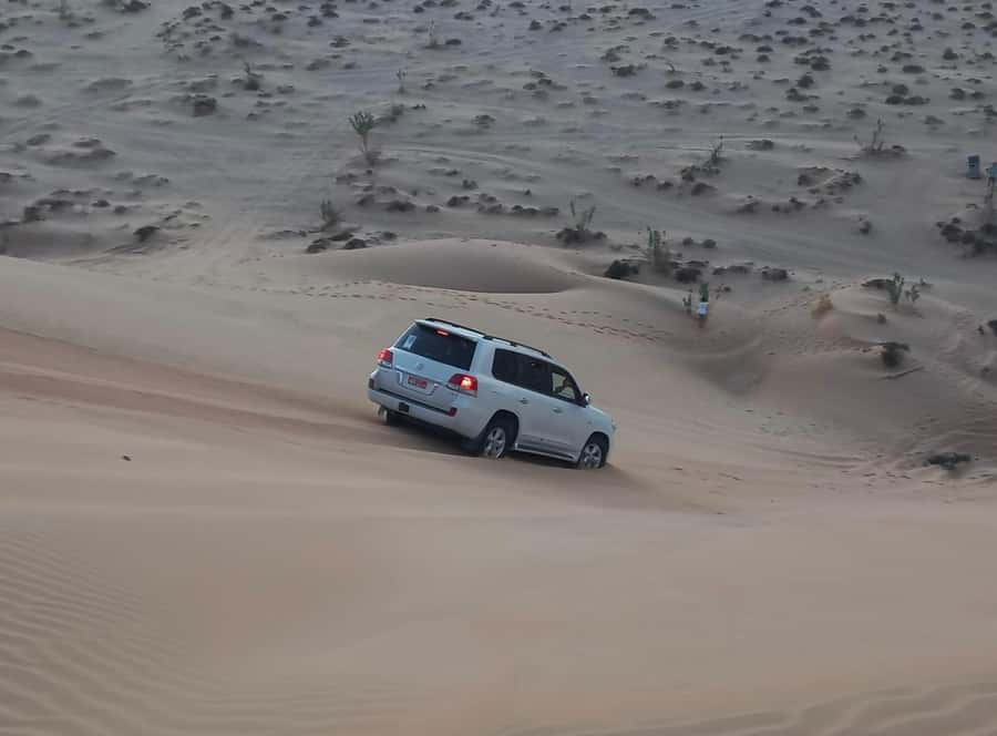Magical Desert Safari By Land Cruise in Empty Quarter - The 4WD ride: comfort, pacing, and why small groups matter