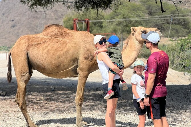 Mountain Safari, Camels, waterfalls & lunch (Group Tour) - Taqah first: sardines, sea views, and a governor’s castle