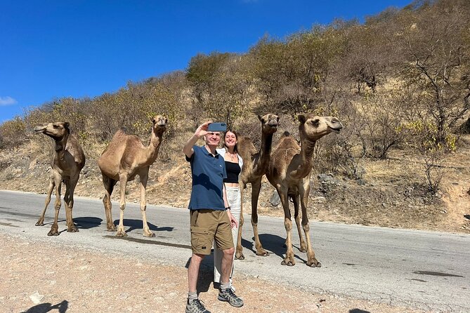 Mountain Safari, Camels, waterfalls & lunch (Group Tour) - Jabal Samhan’s “Grand Canyon” viewpoints at 1300m and 1700m