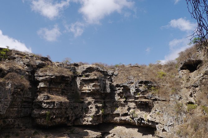 Mountain Tour - Darbat falls, Jebel Samhan, sinkholes, baobabs - Wadi Darbat (Wilayat Taqah): waterfall, river time, and camel sightings