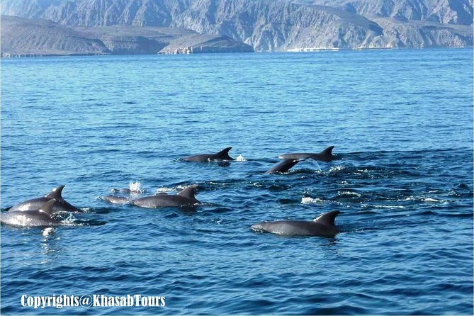 Musandam Khasab Day Trip and Dhow Cruise from Dubai - Price and Value: What You Get for $185