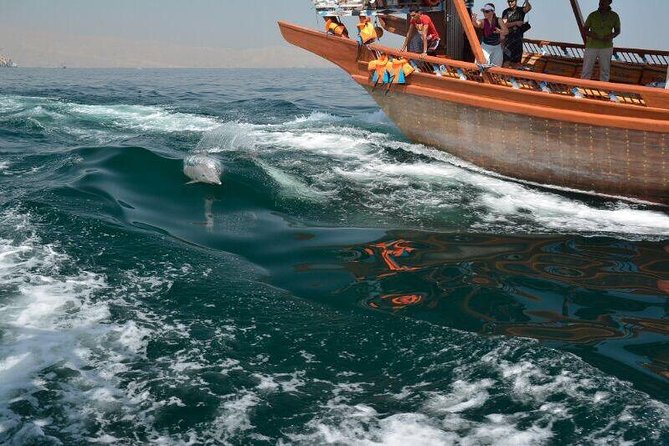 Musandam Khasab Full day dhow cruise with Lunch - Cruise into Musandam’s long fjords, where time slows down