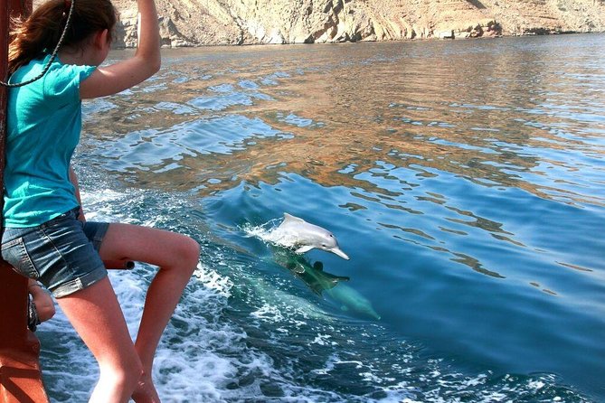 Musandam Khasab Full day dhow cruise with Lunch - Wildlife spotting: dolphins are possible, not guaranteed