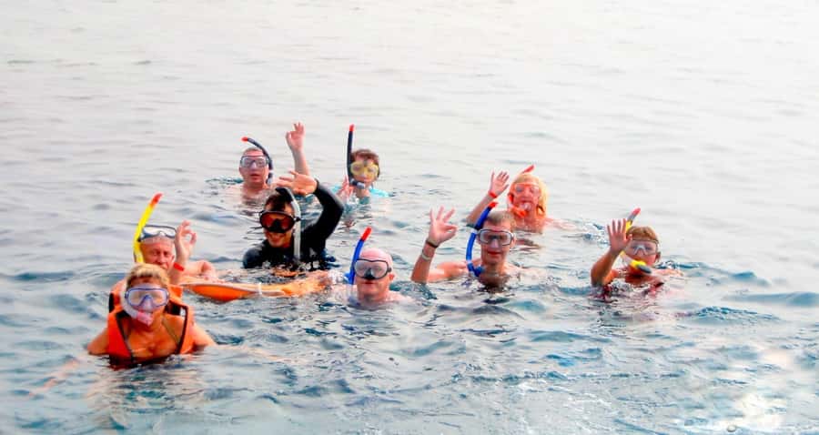 Muscat: 4-Hour Snorkeling Tour with Dolphin watching - Cruise time and the snorkeling zone: what shallow water means for what you’ll see