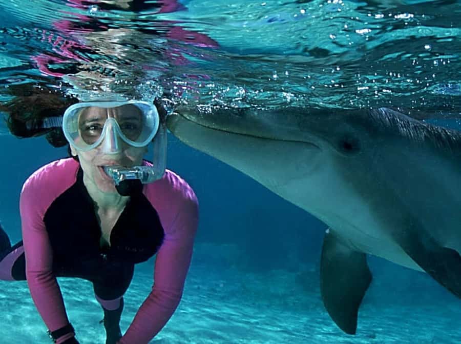Muscat: 4-Hour Snorkeling Tour with Dolphin watching - Timing and itinerary reality: the 1 hour ride, 3 hours at sea, then back