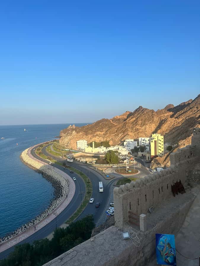 Muscat : 4 hours private Tour of Muscat City with Pick-up - Entering the Sultan Qaboos Grand Mosque the Right Way